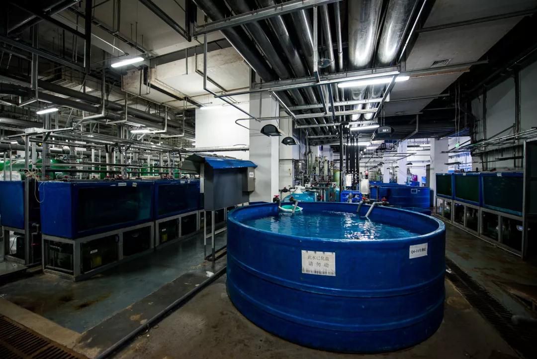 蠕(rú)動泵用(yòng)于克服(fú)三種廢(fei)水問題(ti)